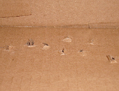 Showing penetration of metal bullets through cardboard