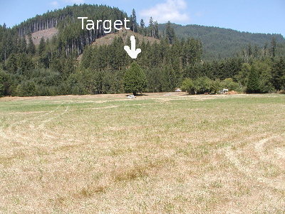 The target tree we launched bottles into.  For scale, that's a white car in front of the tree.