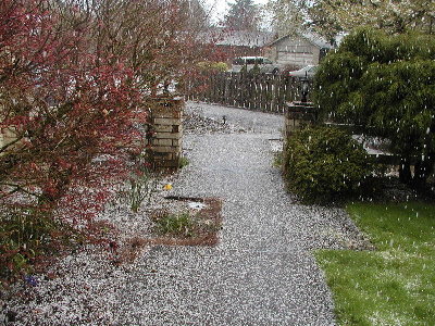 Hailstorm on my front sidewalk