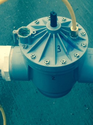 Sprinkler valve.jpg