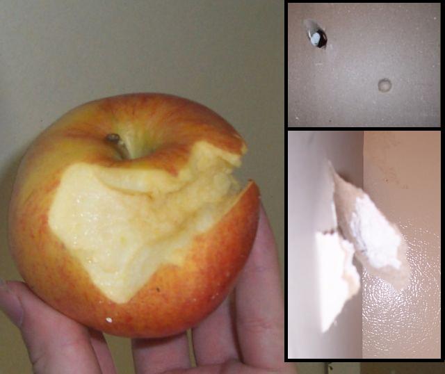 the apple was shot with a ball bearing